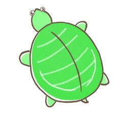 R:もっとメルヘンな水族館☆スッポン　上から③