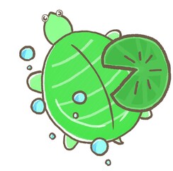 R:もっとメルヘンな水族館☆スッポン　上から⑥