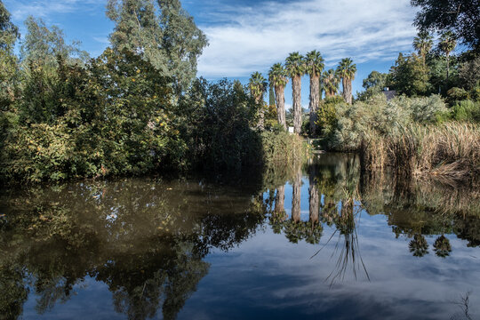 View of the Hidden Lake in Kibbutz Kfar Szold, located in Hula Valley, Upper Galilee, Northern Israel, Israel.