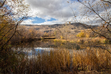 A tranquil pond on an autumn day in the Okanagan Valley, BC