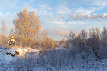 cold winter landscape