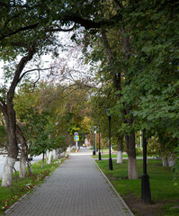 A beautiful path on the central square of the city of Tyumen in autumn
