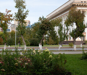 Obraz premium A beautiful path on the central square of the city of Tyumen in autumn