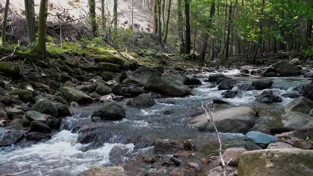 A 4K of Ilse river in the forest. Harz, Germany