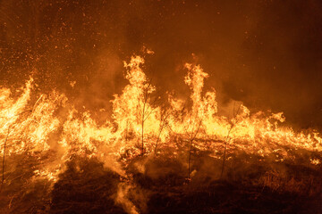 Dangerous wildfire of Siberia near Novosibirsk, Russia in October 2021