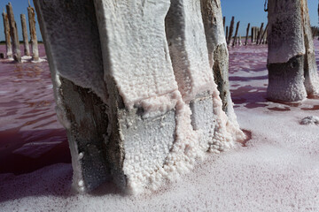 Pink salt lake with salt crystals on wooden pillars. Sasyk Sivash pink salt lake.