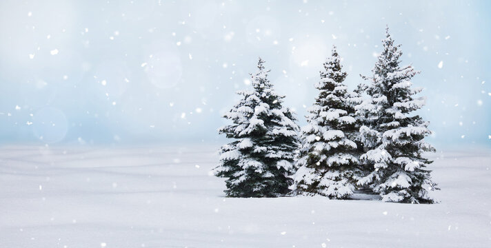 Nature Winter Christmas Background with fir trees