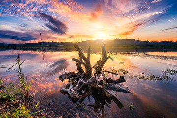 Daegu River Park, South Korea