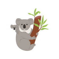 Fototapeta premium Koala with a cute cub sits on a eucalyptus branch. Australian animal in a simple style. Flat vector illustration