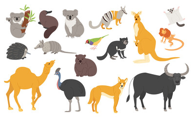 A set of Australian animals in different poses for design. Koala, platypus and kangaroo in simple style.