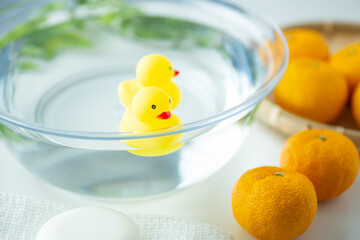 冬至〜柚子湯で温まろう09