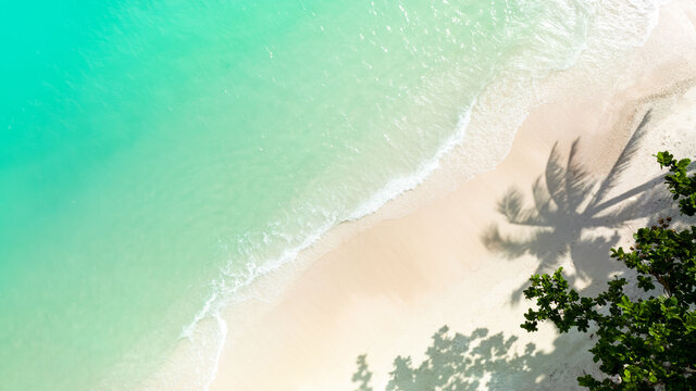 Aerial view of Sunny tropical beach  background with palm trees image