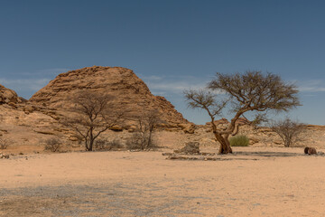 Fototapeta na wymiar Rock formations in the desert near the Spitzkoppe, Namibia