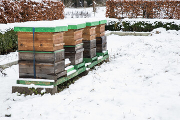 Beehives in snow - 475807569