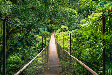 Obraz na płótnie Canvas Hanging Bridge Cloud Rainforest Forest in Costa Rica.