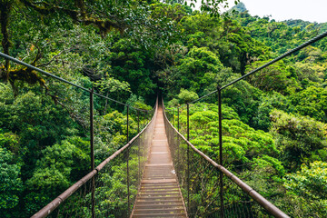 Hanging Bridge Cloud Rainforest Forest in Costa Rica. - obrazy, fototapety, plakaty