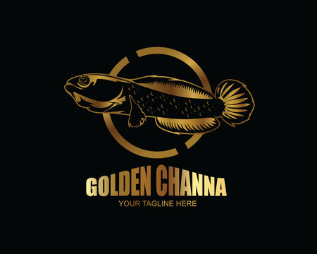 Golden channa vector illustration design