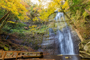 Fototapeta premium 秋の清滝 大分県竹田市 Autumn Kiyotaki waterfall. Ooita-ken Takeda city