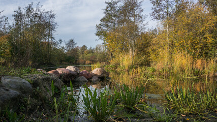 Höst i skåne
Autumn in Scania - 475809999