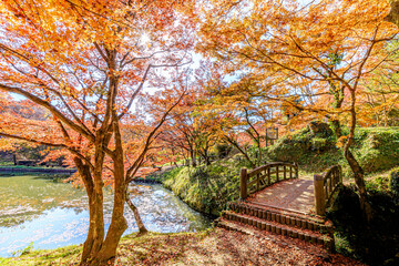 秋の用作公園　大分県豊後大野市　
Autumn Yujaku Park.  Ooita-ken Bungoono city
