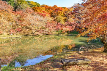 秋の用作公園　大分県豊後大野市　
Autumn Yujaku Park.  Ooita-ken Bungoono city