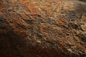 wood texture
