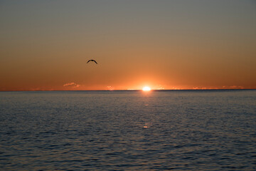Fototapeta na wymiar Sunrise over the Mediterranean with birds flying
