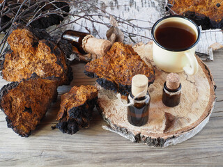 Natural pieces of birch chaga mushroom, drinking extract in bottles, tea in a mug, twigs and bark on a wooden table. Useful plant inonotus obliquus for use in medicine, homeopathy and cosmetology