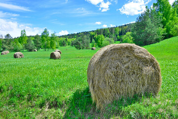 Rural landscape in the Low Beskids Beskid Niski), Poland. 
Round bales of straw in the green meadow. - obrazy, fototapety, plakaty