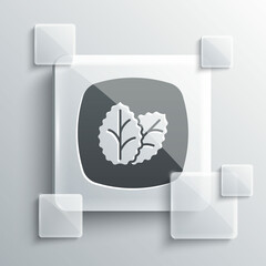 Grey Tobacco leaf icon isolated on grey background. Tobacco leaves. Square glass panels. Vector