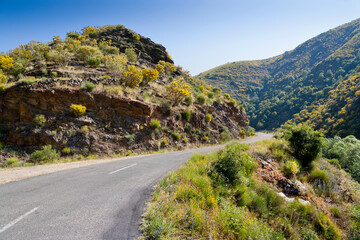 Lr-334. Lerida.. España. Europa.