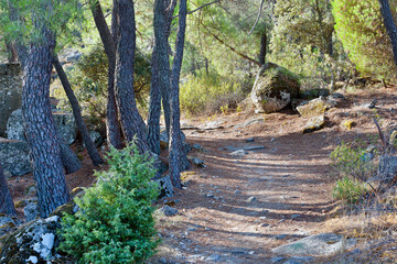 Camino de la Peña Muñana.  Madrid. España. Europa.