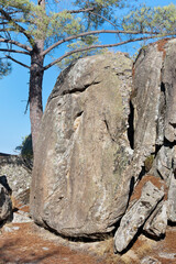 Granito en Pe&ntilde;a Mu&ntilde;ana.  Madrid. Espa&ntilde;a. Europa.