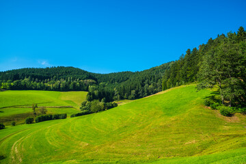 Germany, Panorama view of nature landscape in black forest holiday tourism region at the edge of the forest in summer