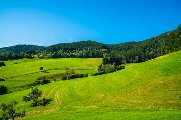 Fototapeta na wymiar Germany, Beautiful nature landscape view of black forest panorama holiday and tourism region at the edge of the forest in summer