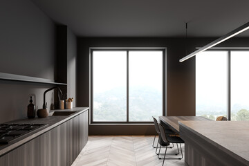 Side view on dark kitchen room interior with panoramic window