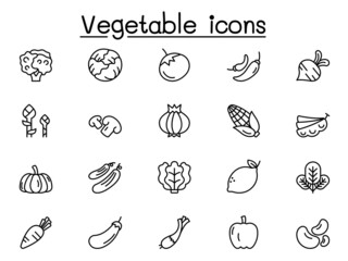 Vegetable icons set in thin line style