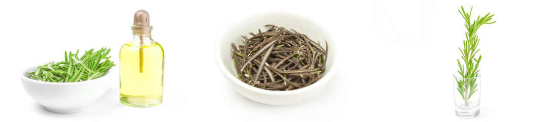 Set of rosemary isolated on a white background