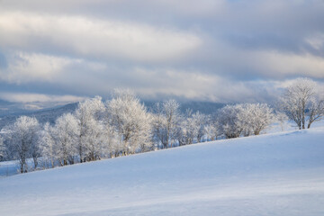View of a snowy winter landscape with trees covered with rime ice. The Orava region in northwest of Slovakia, Europe.