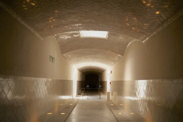 Caminos de luz y sombra