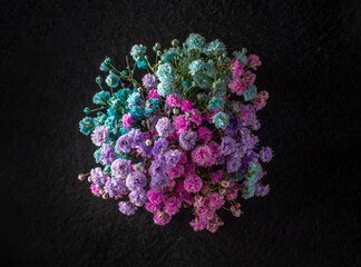 Studio shot of flower on black background. Bright and beautiful flower.