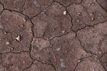 Fototapeta premium Dry and cracked soil, global warming background