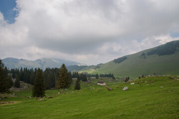 Beautiful swiss spring landscape near Santis.