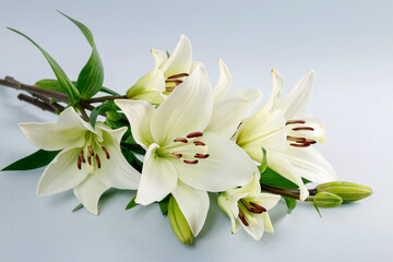 Fototapeta premium Christmas floral arrangement with white lilies, thuja twigs and golden baubles