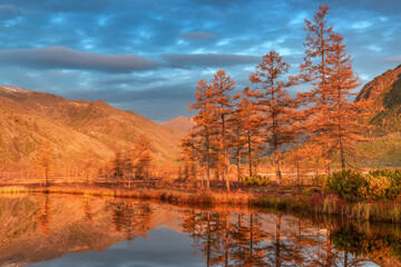 Sunny morning on a quiet river, Purga river, Kolyma, Magadan region