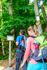 Junge Leute wandern gutgelaunt im schattigen Wald