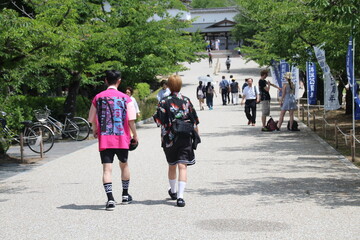 Castillo Himeji, Jap&oacute;n. Tambi&eacute;n conocido como el castillo de garza blanca.