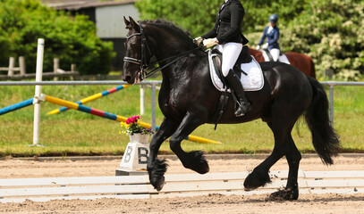Dressage horse Friesian with rider galloping in a tournament..