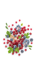 Composition from multi-colored berries and leaves on a white background.