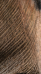 Background texture of coconut husk fibers